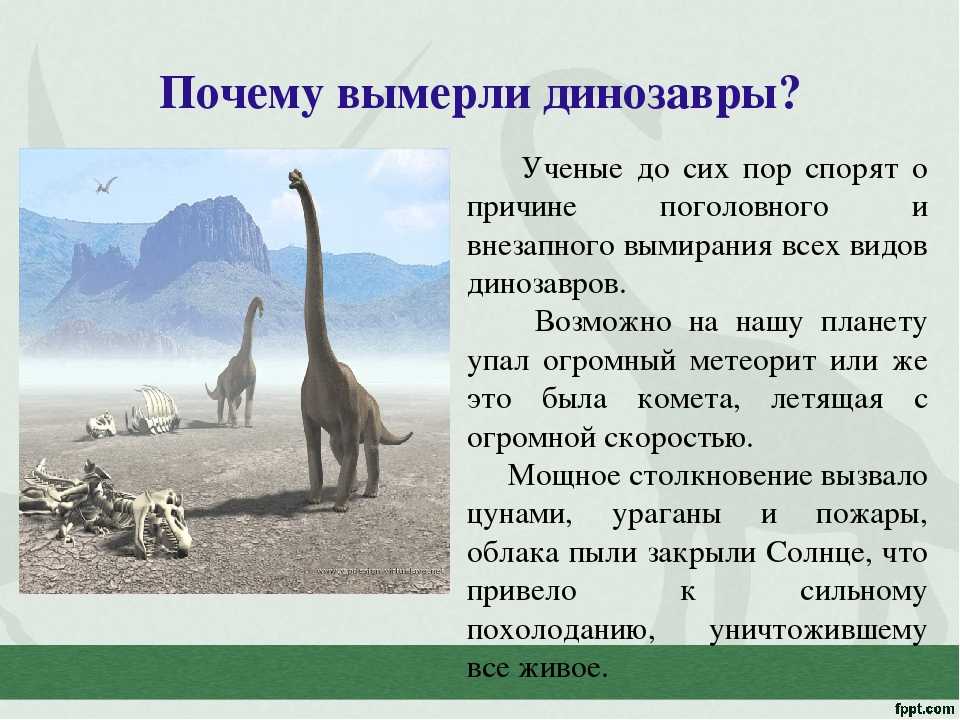 В каком году исчезли. Почему вымерли динозавры. Причины вымирания динозавров. Почему вымерли птерозавры. Почему исчезли динозавры.