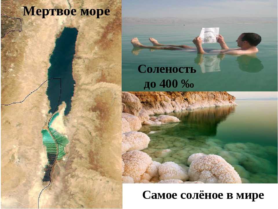 Самой соленое море. Мёртвое море солёность воды. Соленость мертвого моря. Самое соленое море. Самое солёное море в миие.