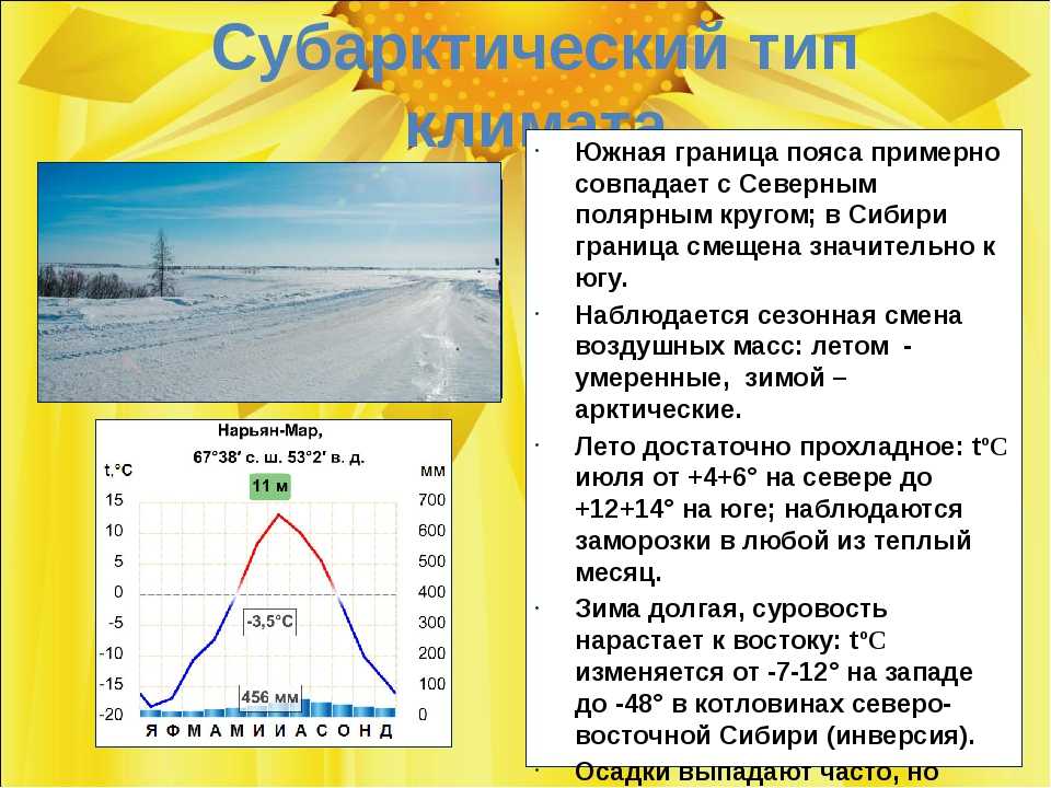 Осадки арктического пояса. Типы климата. Субарктический климат характеристика. Климат субарктического пояса. Тип климата субарктического пояса.