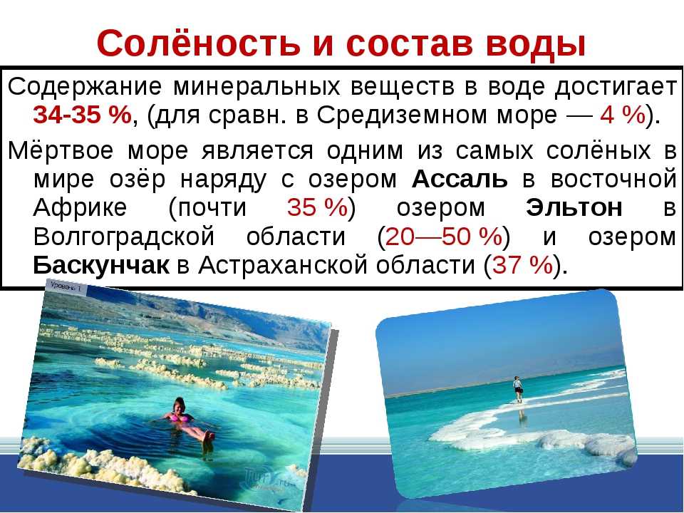 Самые соленые моря и океаны. Соленость мертвого моря. Мёртвое море солёность воды в промилле. Мёртвое море солёность воды. Мёртвое море саленость.