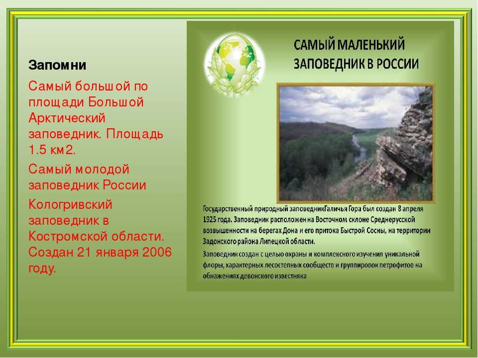 Какой заповедник расположен. Заповедники России презентация. Заповедники презентация. Заповедники России презентаци. Презентация на тему заповедники России.