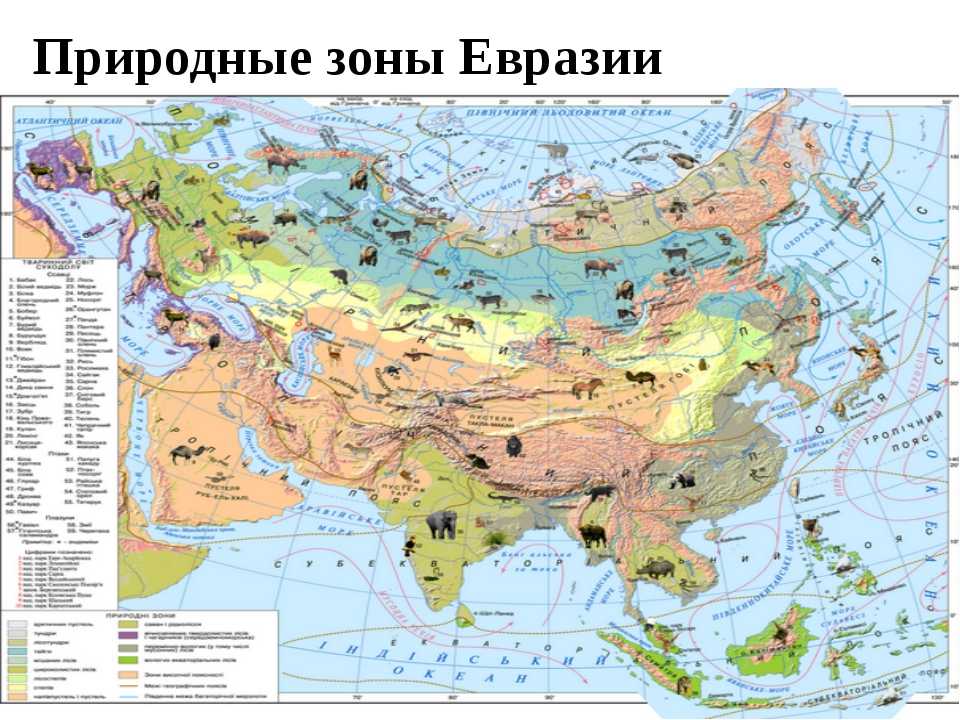 География природные зоны евразии. Природные зоны Евразии 7 класс география. Природные зоны материка Евразия. Природные зонвевразии карта. Карта природных зон Евразии.