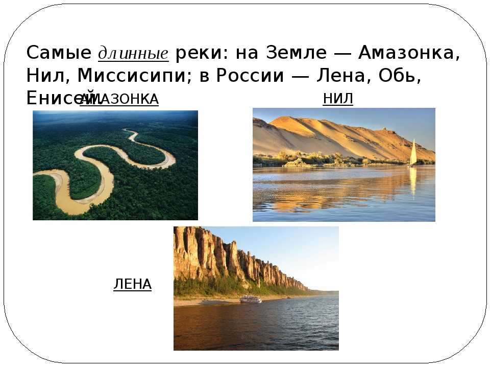 Самые длинные река море. Нил Амазонка Миссисипи. Самая длинная река в России это Лена или Обь. Самая длинная река мира Нил или Амазонка. Самая длинная река мира – Нил (с Кагерой).