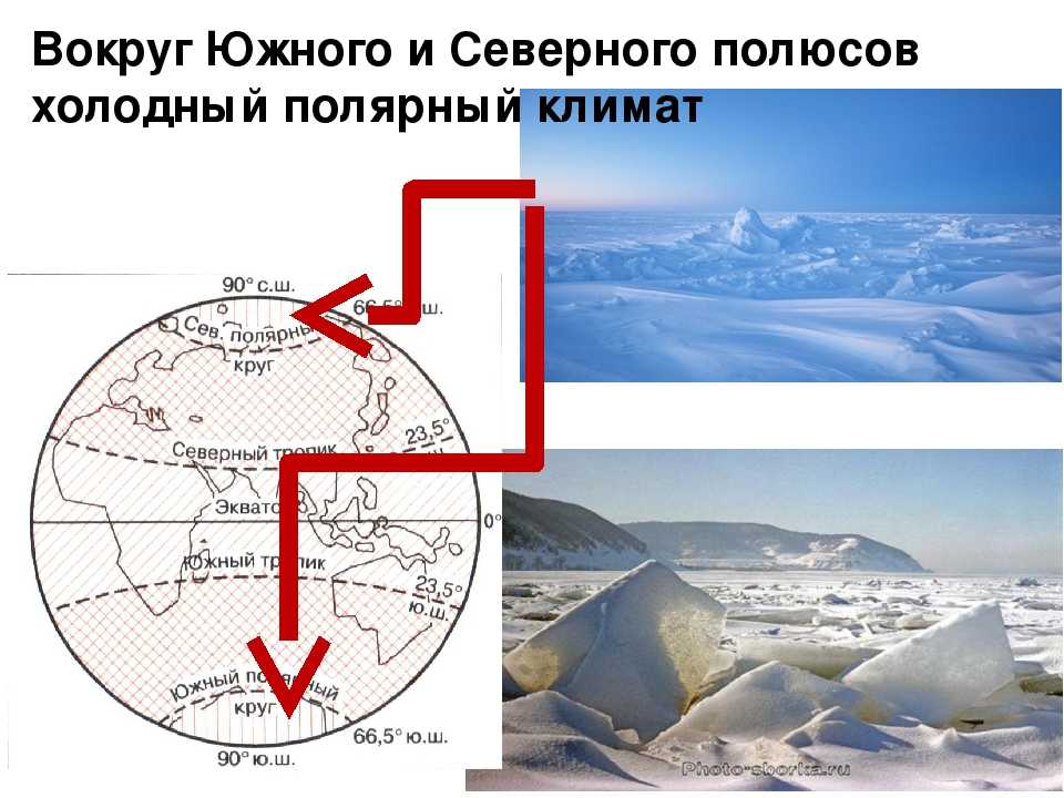 На каком полюсе земли находится. Южный полюс холоднее Северного. Южный полис холтднее Северного. Почему Южный полюс холоднее Северного. Климат Южного полюса.