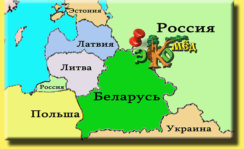 Сосед россии беларусь. Карта Белоруссия Латвия Литва. Литва и Украина на карте. Карта Литва Белоруссия Украина Россия. Карта Украины Польши и Белоруссии.