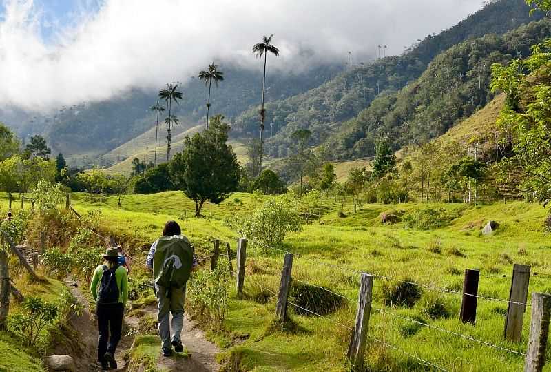 Colombia time. Черкесия в Колумбии. Точесито Колумбия. Колумбия для туристов. Оринокия Колумбия.