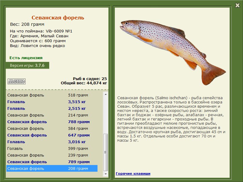 Размеры рыб на озере. Форель размеры2 и вес. Размеры рыбы 3кг форель. Севанская форель Ишхан. Форель 2 кг размер.