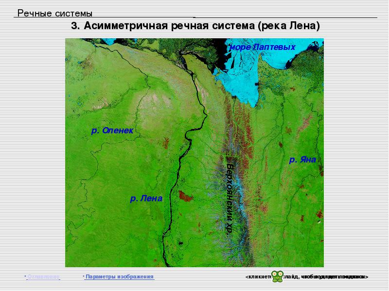 Лена какой приток. Система реки Лена. Речная система реки Лены. Асимметричная Речная система. Речная система реки Лена на карте.