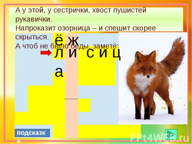 У высокий рост у пушистый хвост. У слона высокий рост у лисы пушистый хвост. Сам придумай у слона высокий рост у лисы пушистый хвост. Зачем лисе хвост.