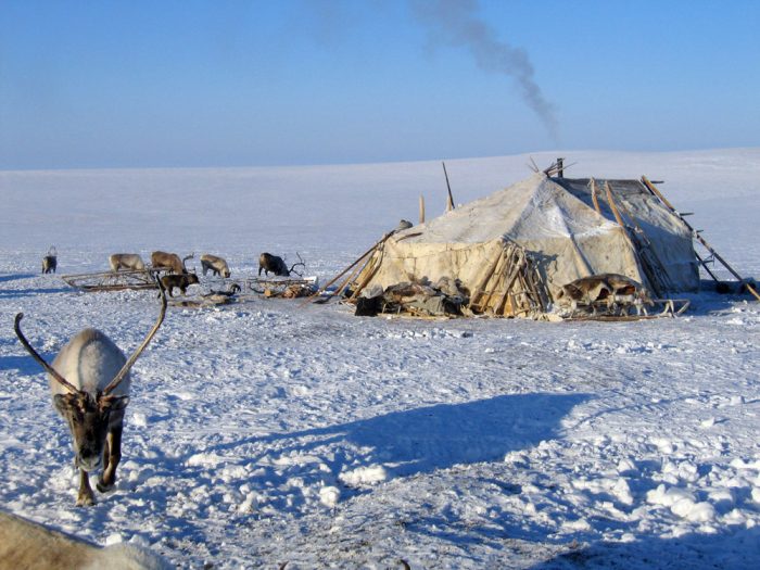 Жилище чукчей проживающих на дальнем востоке. Яранга Чукотка. Яранга иоронга. Яранга Коряков. Чукчи жилище яранга.