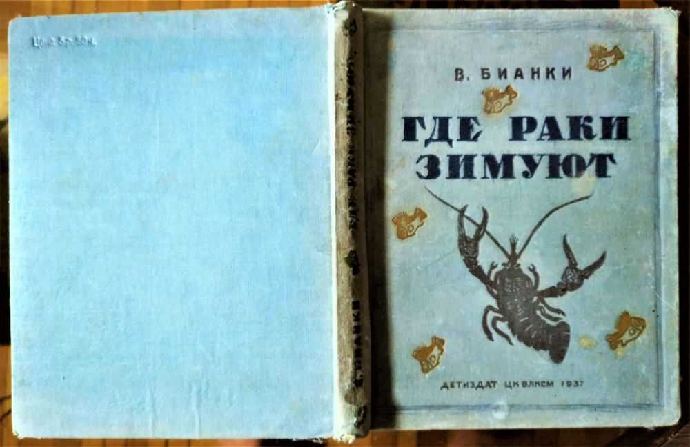 Где раки зимуют. Бианки. Рассказы. Оглавление где. Раки. Зимуют. Оглавление. Александр раков, обложка книги. Бианки где зимуют щуки. Кто Автор сказки как Бьянка зимовал.