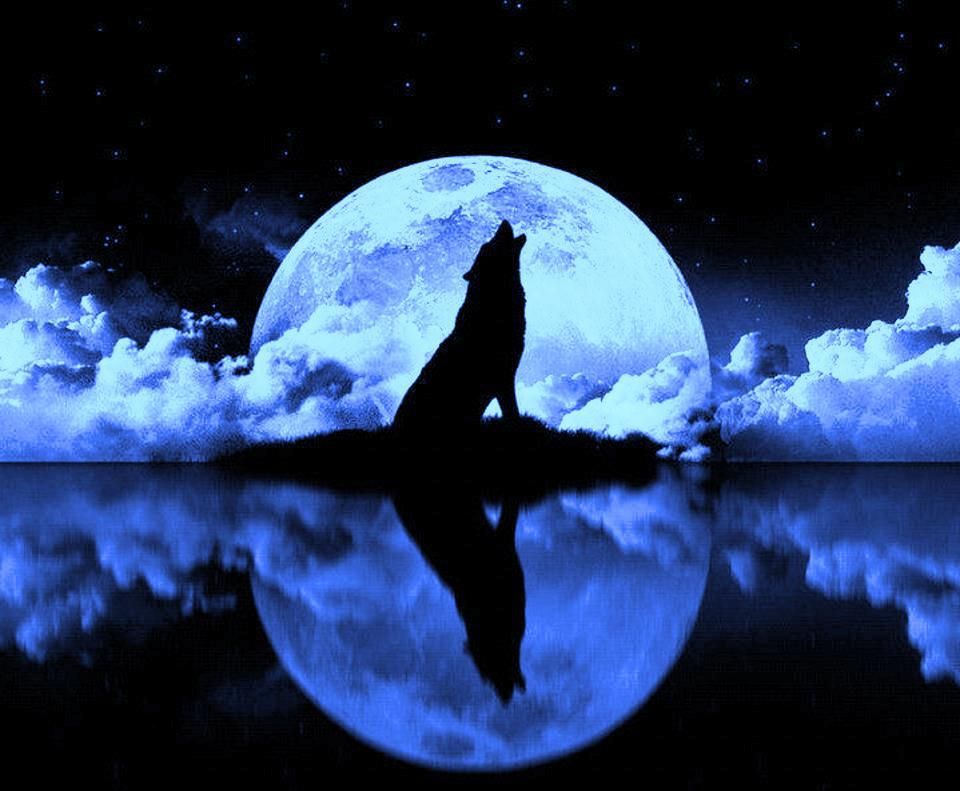 Волки воют на луну песни