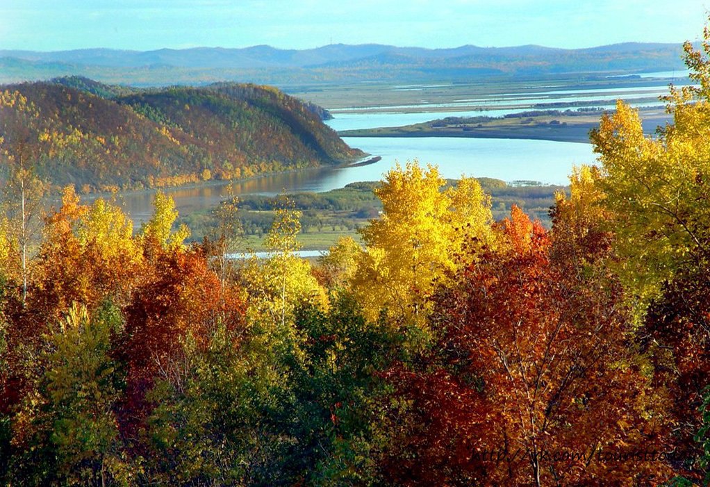 Комсомольский заповедник Хабаровский край