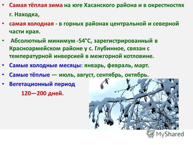 Почему в россии холодно. Самая теплая зима. Где самая теплая зима. Самая теплая зима в России. Где самая теплая зима в России.