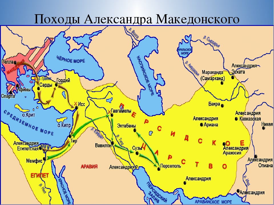 Почему македонский смог покорить персидскую державу