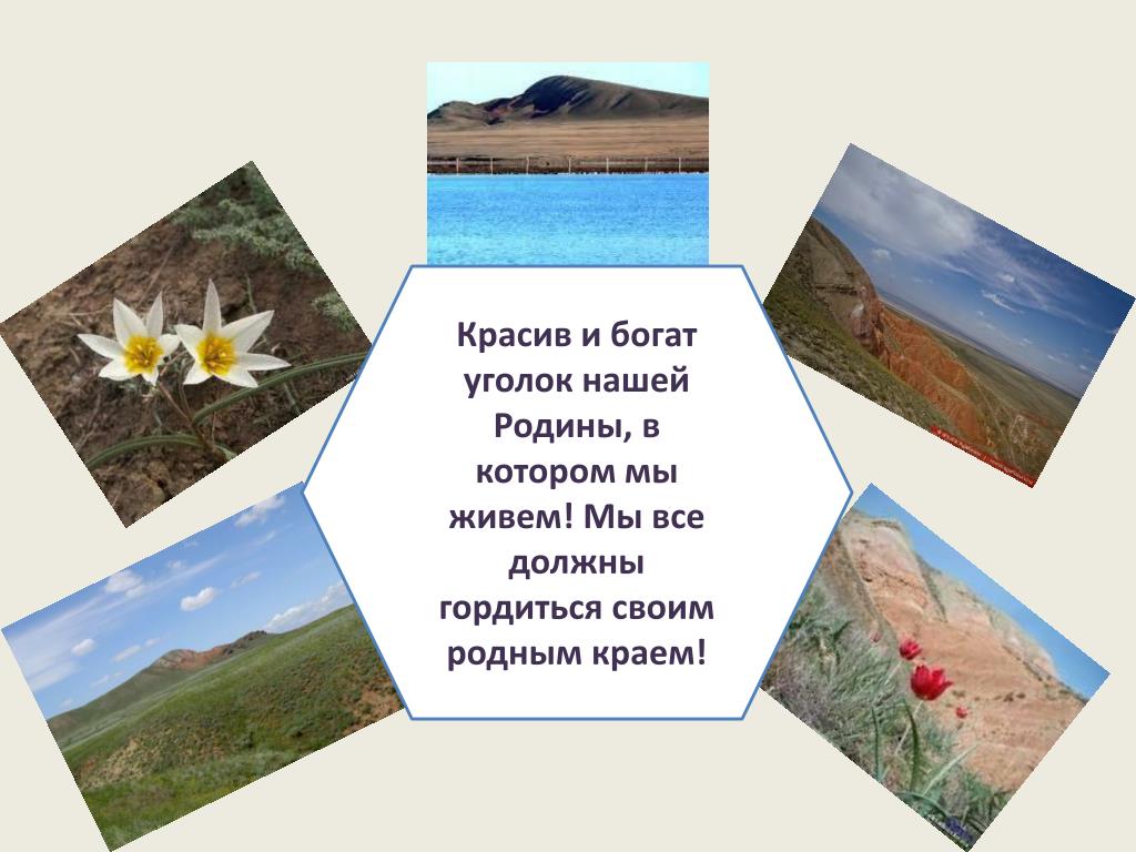 Богатства нашей родины. Наш уголок родного края. Красивые уголки родного края. Уголок наш край. Наш край богат и прекрасен.