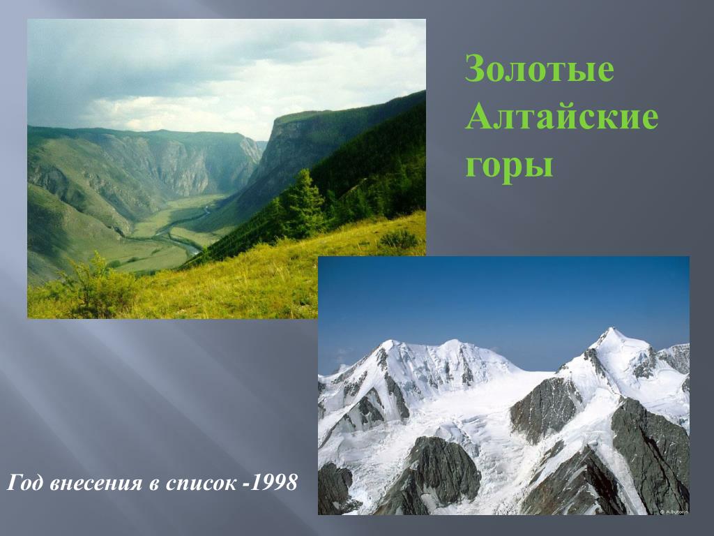 Золотые горы алтая объект списка. Всемирное наследие Алтайские горы. Всемирное природное наследие золотые горы Алтая. Алтайские горы 4 класс окружающий мир. Проект золотые горы Алтая.