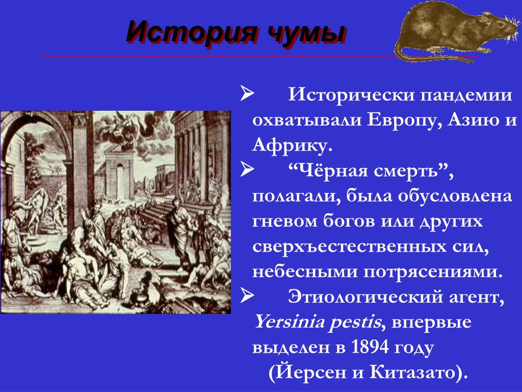 В каком веке была чума. Черная смерть презентация. Черная смерть чума презентация. Чума рассказ.