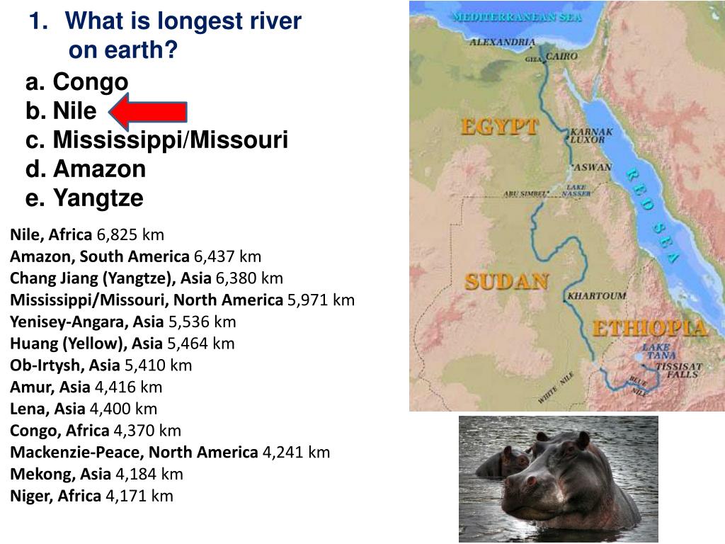 Which is the longest River. What is the longest River in Russia ответ на вопрос. Long River перевод. What is the longest River in g b. What is the longest river in russia