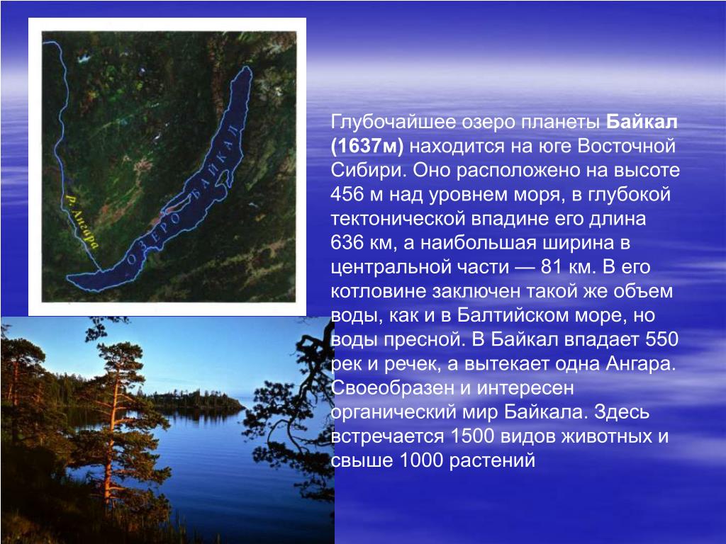 Есть ли в байкале течение. Впадина озера Байкал. Течения Байкала. Высота Байкала над уровнем моря. Глубина озера Байкал.
