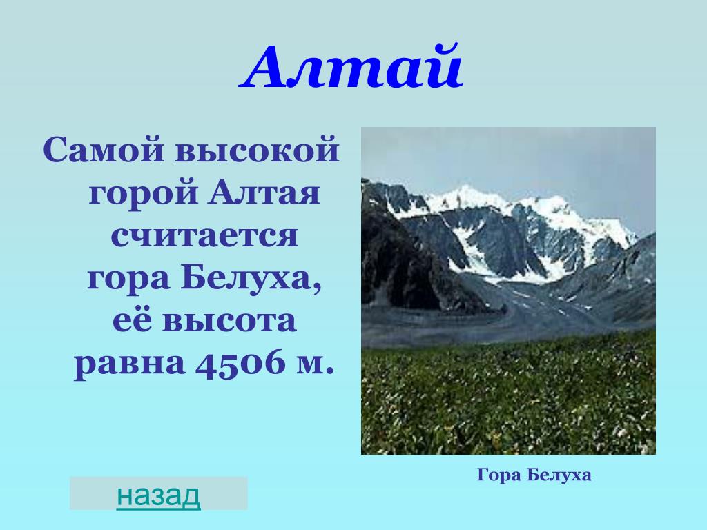 Абсолютная высота алтайских гор. Гора Белуха Алтай. Высота алтайских гор в метрах. Белуха гора высота. Высота горы Алтай.