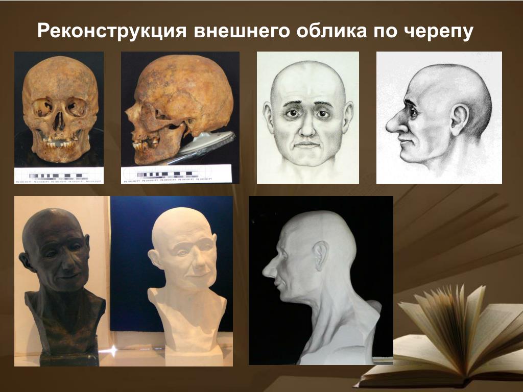 Сущность реконструкции. Реконструкция лица по черепу метод Герасимова. Реконструкция Герасимова череп. Реконструкция лица по черепу Герасимов.