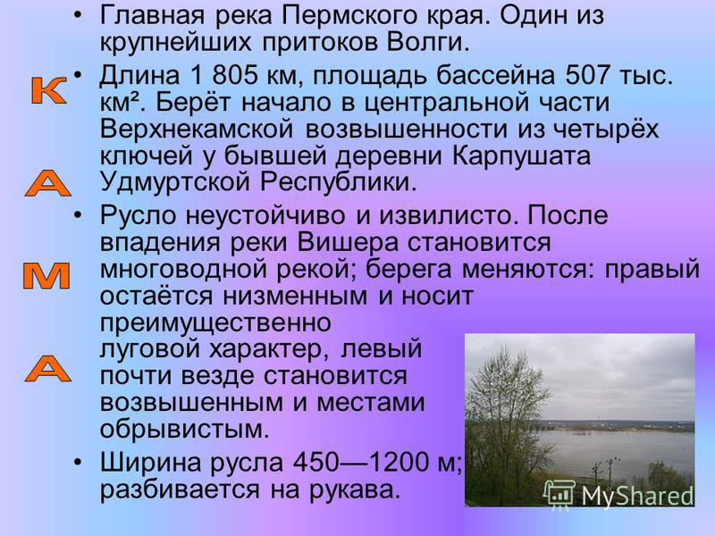 Краткое содержание река