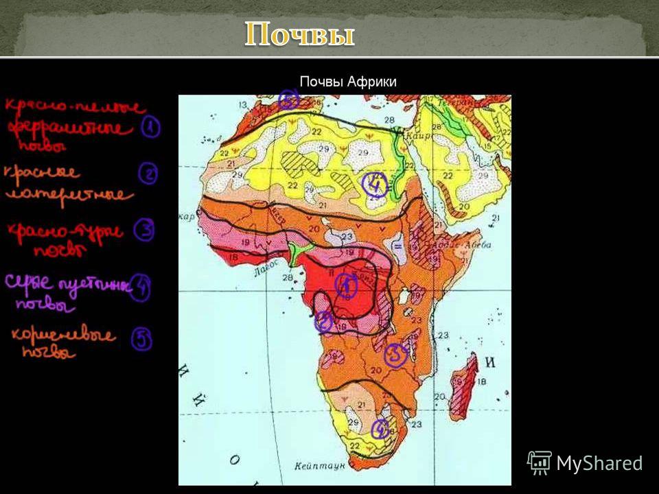 Природные зоны материка африка. Карта почв Африки. Карта почв Африки 7 класс. Почвенный Покров Северной Африки. Карта почвенная карта Африки.