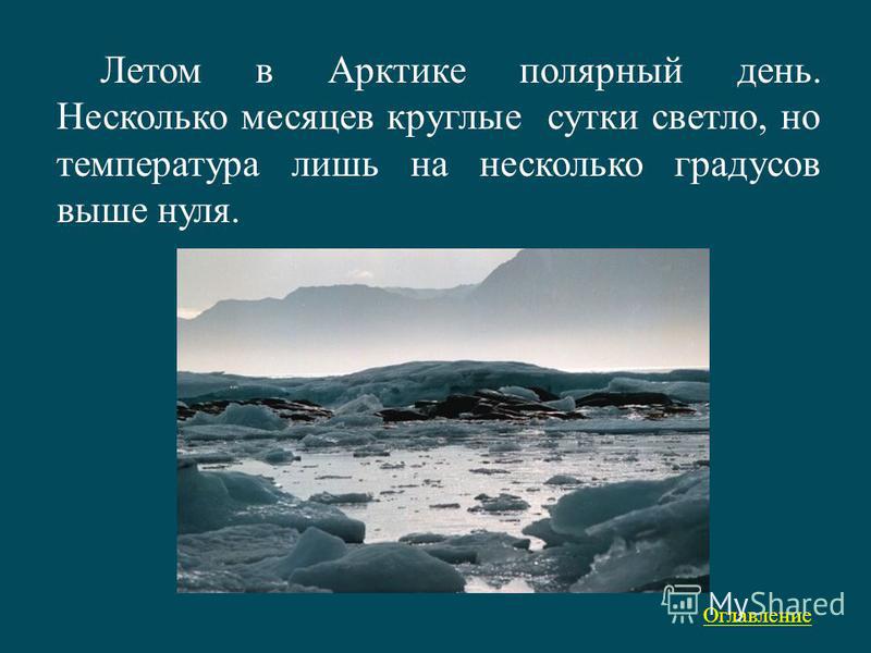 Многие месяцы. Летом в Арктике Полярный день. Летом в Арктике круглые сутки. Летом в Арктике круглые сутки день. Летом в Арктике Полярный день несколько месяцев.