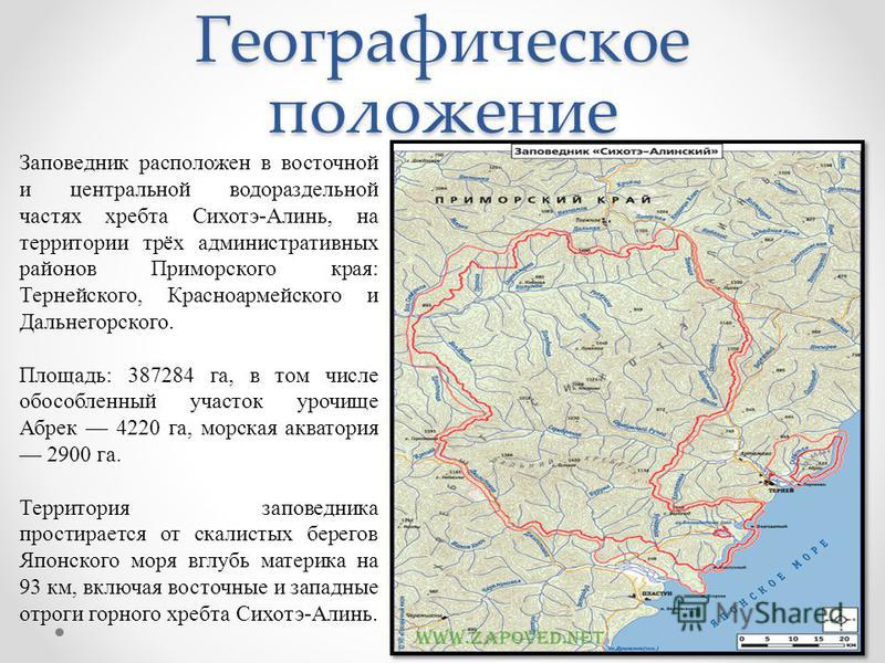 Сихотэ алинь где. Сихотэ-Алинский заповедник на карте. Сихотэ-Алинский заповедник географическое положение. Сихотэ-Алинский заповедник расположение.