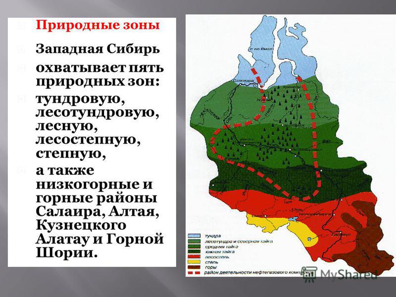 Западно-Сибирская равнина климат карта. Природные зоны Западной Сибири.