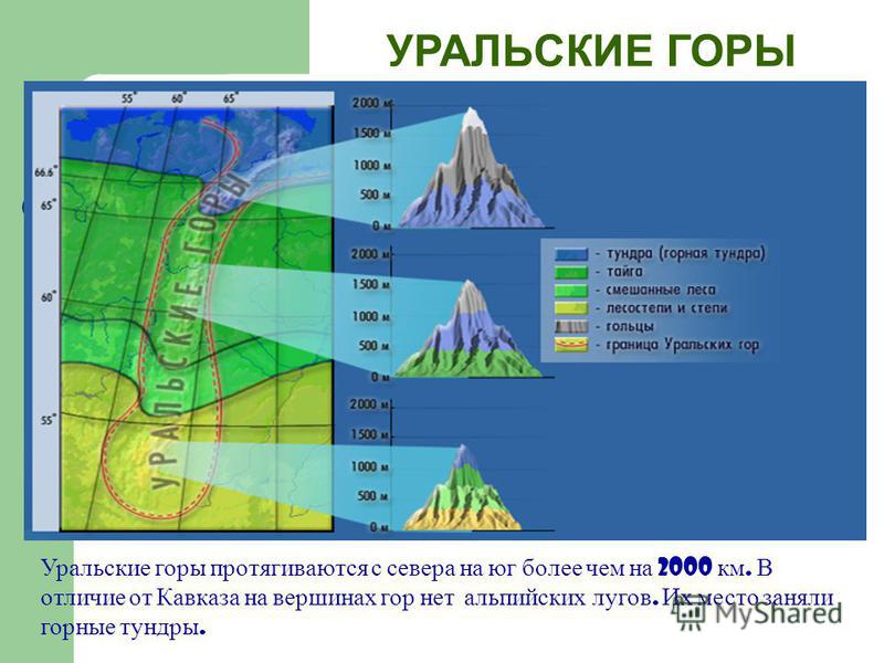 Протяженность уральских гор в км. Уральские горы Высотная поясность. Высотная поясность в России Урал. Высотная поясность уральских гор. Схема уральских гор.