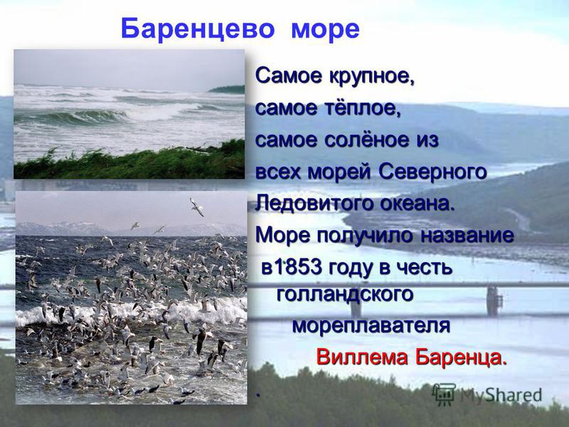 Самое теплое и соленое море африки. Самое тёплое и солёное море. Самое тёплое море в России. Холодное море в России. Самое тёплое море Ледовитого океана.