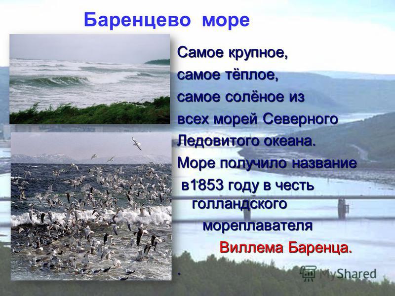 Где самое теплое море в мае. Самое тёплое море в России. Самое соленое и теплое море. Холодное море в России. Самое наименее соленое море России.