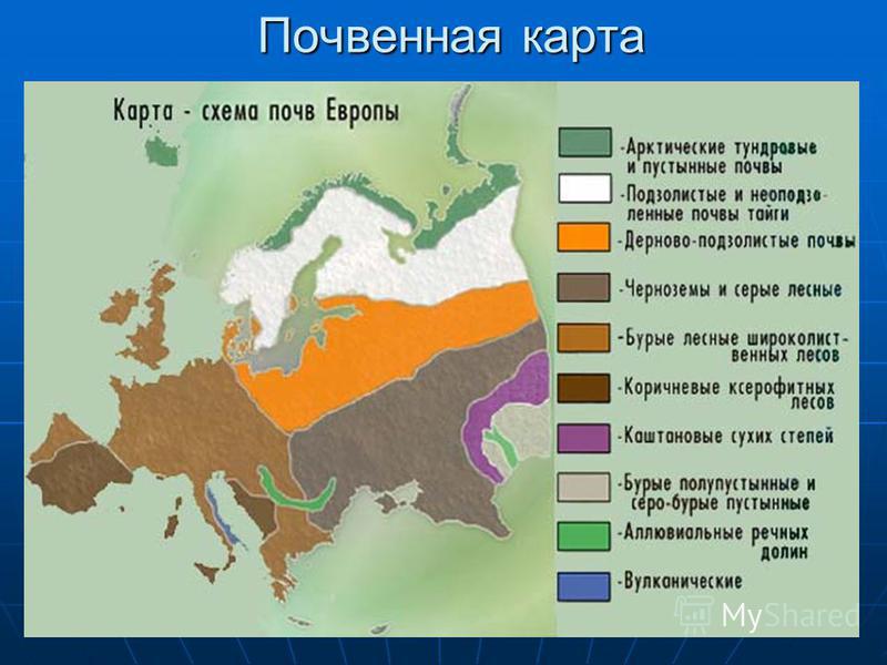 Преобладающий вид. Почвенные ресурсы Европы карта. Карта типов почв Европы. Почвенная карта Евразии. Карта почв зарубежной Европы.