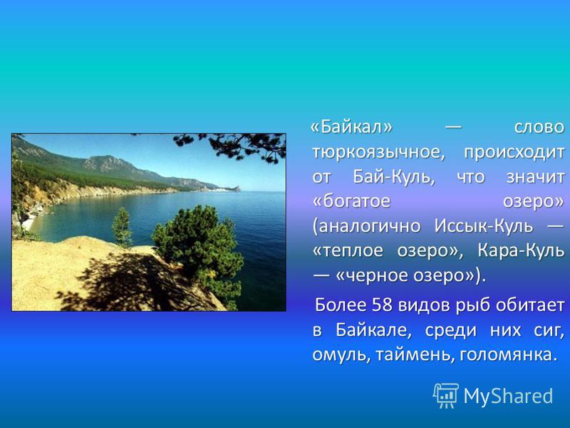 Рассказ о Байкале. Озеро Байкал текст. Проект озера. Текст на озере 7 класс