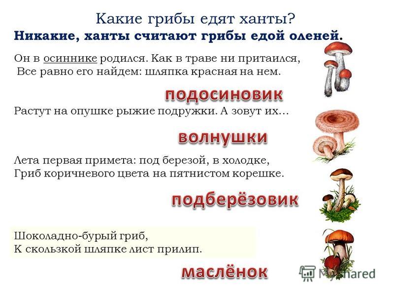 Сонник грибы