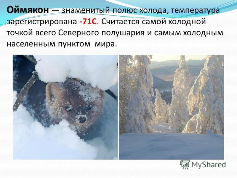 В россии весь холодный. Самое Холодное место в России Оймякон. Оймякон самый холодный.