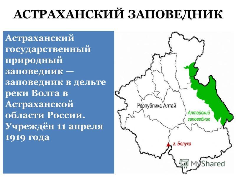 Астраханский заповедник что охраняет. Астраханский заповедник природная зона. Астраханский заповедник территория. Астраханский заповедник географическое положение.