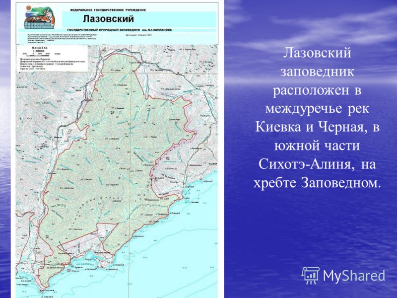 Лазовском районе приморского края. Лазовский заповедник Приморский край на карте. Хребет Сихотэ-Алинь на карте России. Граница Лазовского заповедника Приморский край. Лазовский заповедник карта заповедника.