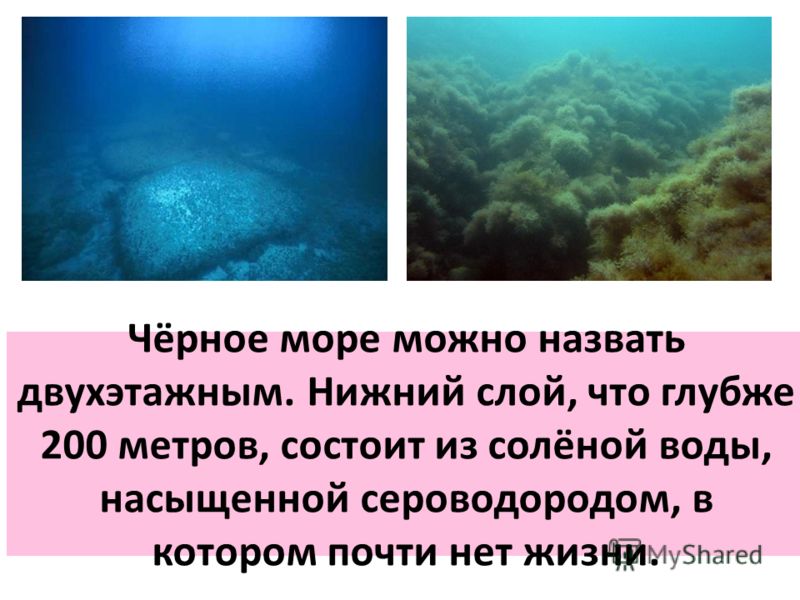 Почему черное море называется черным. Почему чёрное море называется чёрным. Почему чёрное море назвали чё. Почему море назвали черным.