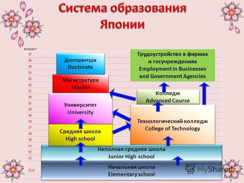 Система образования. Структура системы образования Японии. Система образования в Японии. Ступени образования в Японии. Структура образования в Японии.