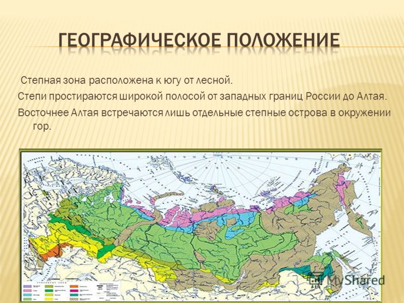 В какой природной зоне расположен населенный пункт