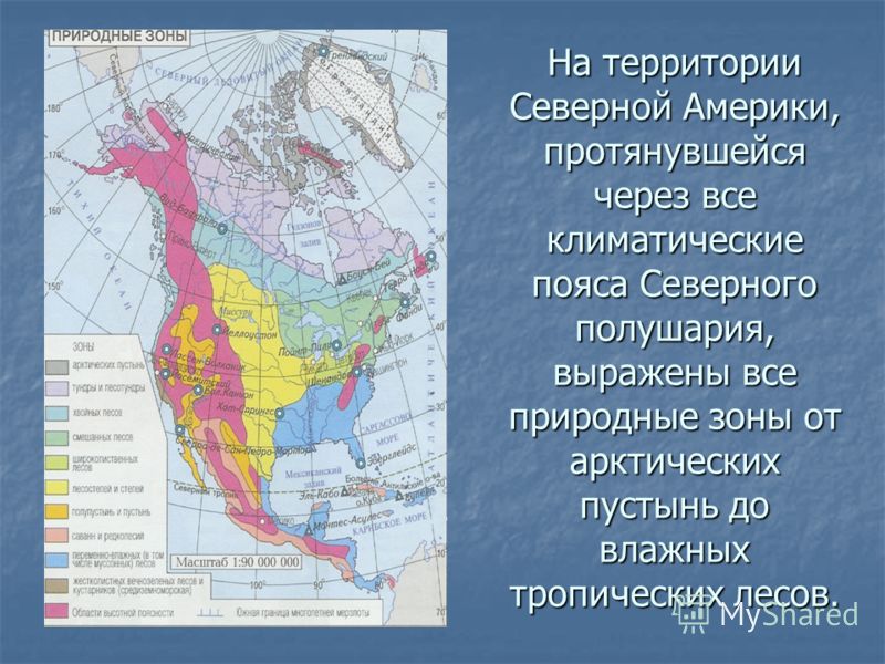 Особенности материка северной америки. Карта природных зон Северной Америки. Карта природных зон Северного полушария.