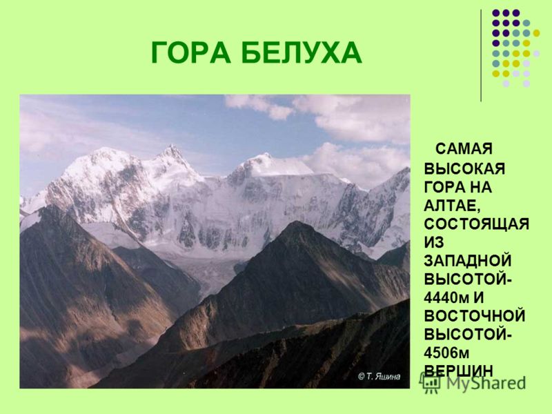 Местоположение горных систем алтая. Алтай гора Белуха на карте России. Гора Белуха на карте. Золотые горы Алтая расположение. Гора Белуха местоположение.