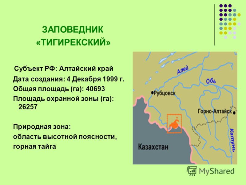 Какие заповедники находятся в зоне. Заповедники Алтайского края. Зоны Алтайского заповедника. Заповедники и заказники Алтайского края. Презентация на тему заповедник Алтайского края.