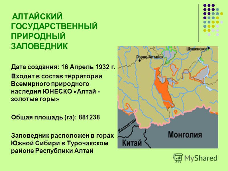 Какие заповедники находятся в зоне. Рассказ про Алтайский заповедник. Алтайский государственный биосферный заповедник карта. Алтайский заповедник расположение. Алтайский заповедник презентация.