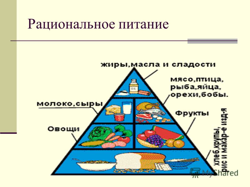 Основы рационального питания презентация