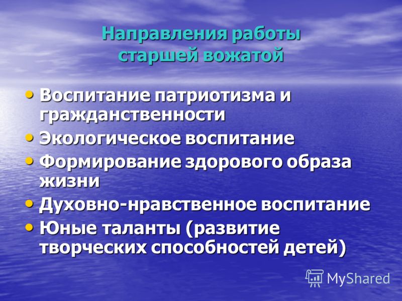 Индивидуальный Стиль Работы Вожатого Эссе