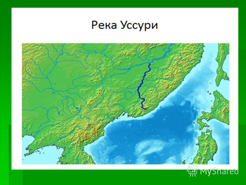 Где река уссури